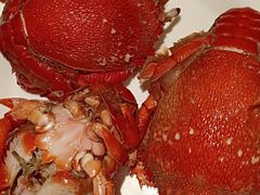 -星伦多自助料理(华润万象城店)