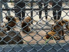 -长白岛森林公园