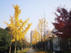 -杭州城北体育公园