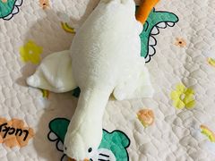 -PAWTOY爪e玩偶店(天兴罗斯福店)