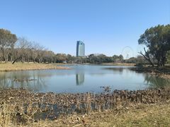 -无锡蠡湖国家湿地公园-蠡园