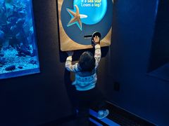 -瑞普利水族馆