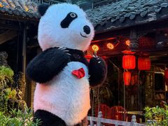 -小龙翻大江文化火锅(宽窄店)