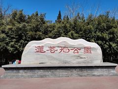 -莲花池公园