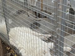 -哈密回王府景区