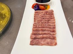 -丁老爷子苏香圆