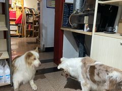 -豆舞咖啡(民乐路店)
