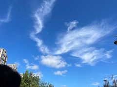 -枫花园汽车电影院(朝阳公园店)
