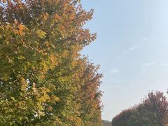 -南京枫彩漫城