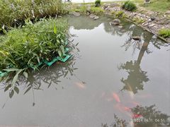 -苏州河梦清园环保主题公园