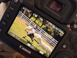 -七色田儿童摄影(静安店)