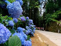 -苍山感通索道