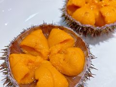 海胆-常鲜楼常来尝鲜海胆馆(星海店)