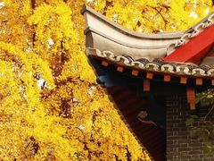 -四川大学(华西校区)