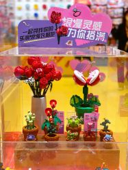 -乐高授权专卖店(南开大悦城店)