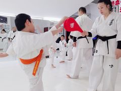 -极真空手道修远道场