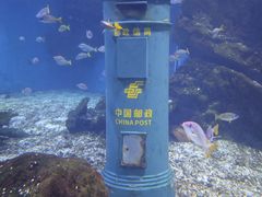 -海合安武汉极地海洋公园