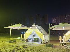 -沙澧河风景区