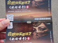-《驼铃传奇》秀