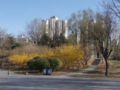 -望湖公园