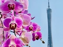 -海心沙亚运公园