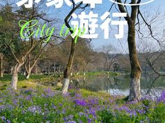 -茅家埠
