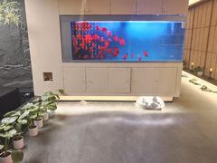 -宫七SPA·高端Massage(浦东大道店)