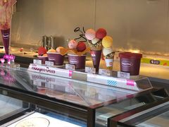 -哈根达斯(泉州万达店)