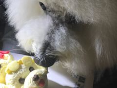 -贝紫Style(木马公寓店)