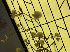 -小厨娘淮扬菜(六合欢乐港店)