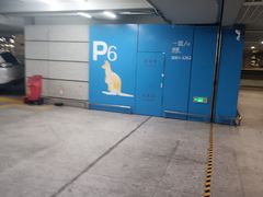-虹桥综合交通枢纽-P6停车库