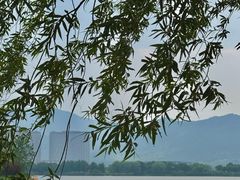 -长兴太湖图影湿地文化园