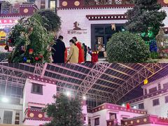 -拉萨圣地天堂洲际大饭店-自助餐厅