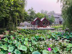 -万源龙顺度假庄园生态观光园