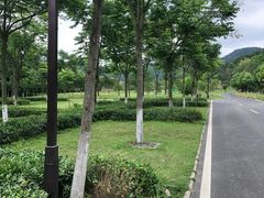 -黄陂区野村谷景区