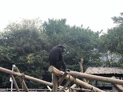 -南昌动物园