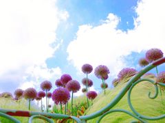 -嘉北郊野公园