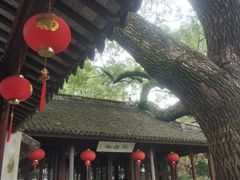 -上海醉白池公园