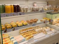 -蒲公英(五里店)