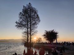 -大理洱海