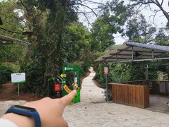 -芦仙山景区-飞越丛林探险乐园