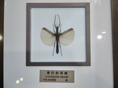 -上海昆虫博物馆