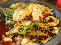 -都江堰石锅鱼