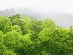 -藏龙百瀑风景区