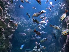 -海合安青岛极地海洋公园