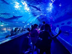 -成都浩海立方海洋公园