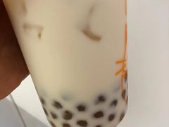 啵啵奶绿-啵啵喵·猫咖(攀华国际店)