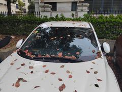 -刘嘉俊视光工作室