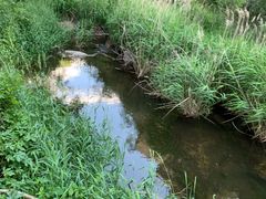 -碓臼峪自然风景区