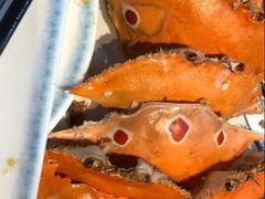 -争先鲜·蒸汽海鲜自助·鲜切牛肉